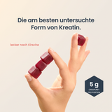 Die am besten untersuchte Form von Kreatin – 5 g Creapure pro Portion